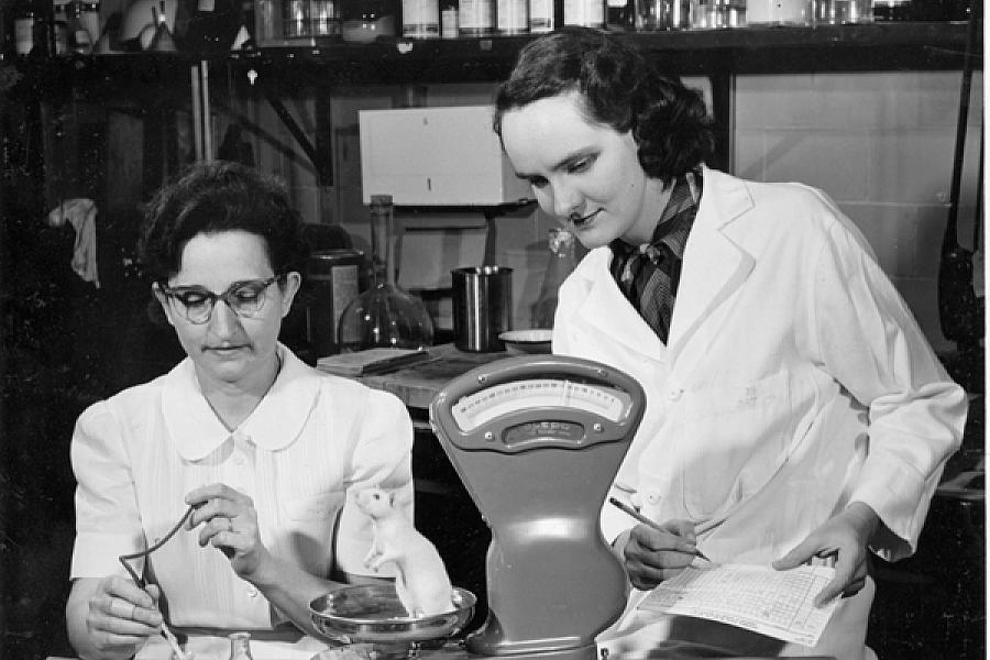 Studying Folic Acid Deficiency