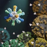 Nanoparticle with different colored proteins on surface.