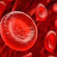 3D illustration of red blood cells